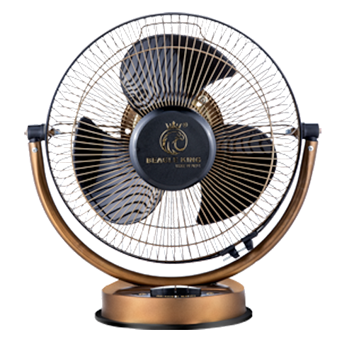 Portable Fan
